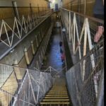 Interior view of a prison cell block with metal stairs and walkways.